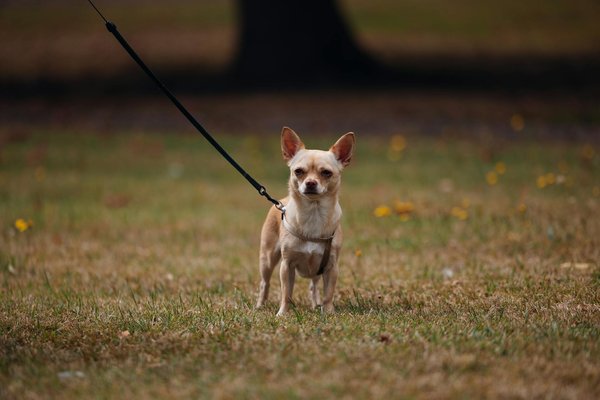 Elevate your brand presence through our bristol seo agency services