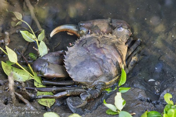 What Are the Specific Considerations for Building Real Estate Near UK Coastal Erosion Zones?